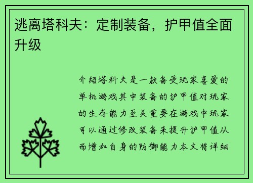 逃离塔科夫：定制装备，护甲值全面升级